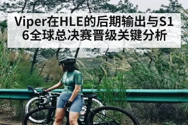 Viper在HLE的后期输出与S16全球总决赛晋级关键分析